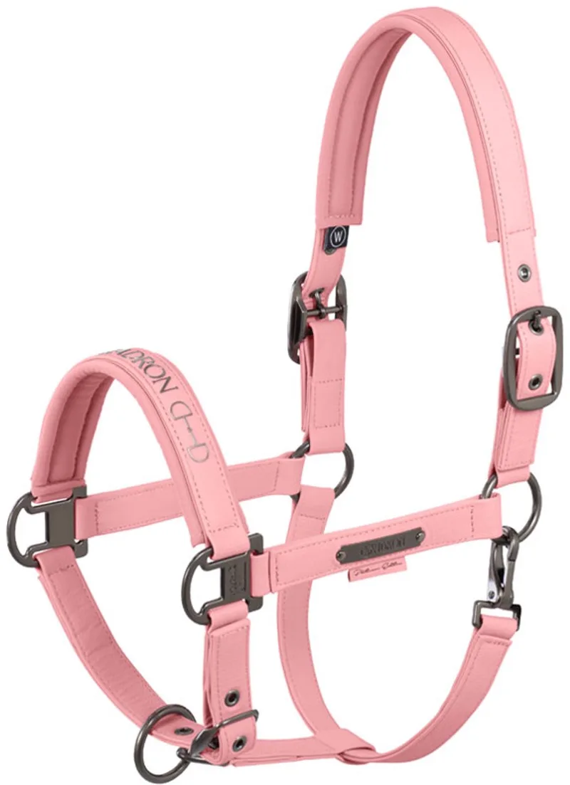Halster Faux Leather Platinum Soft Rouge - Full de Eskadron en Rose – photo produit