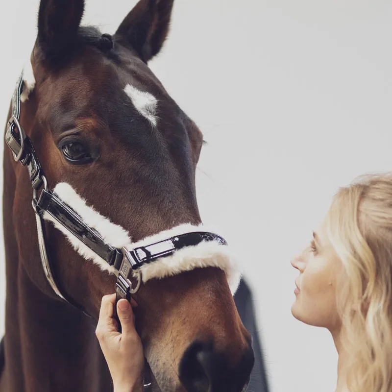 Halster Varnish Evo-Wool Reflexx - Pony von Eskadron in Schwarz – Produktfoto