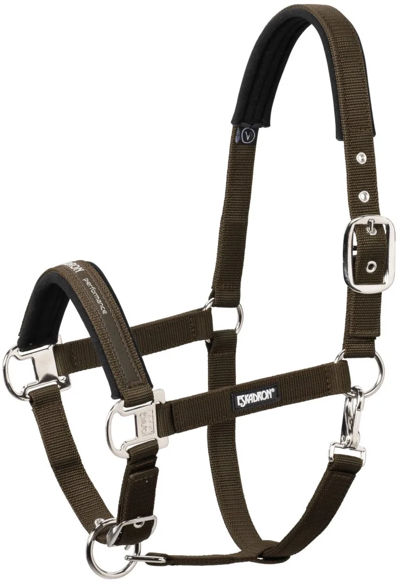 Headcollar Pin Buckle Pony von Eskadron in Nightblue-Creme – Produktfoto
