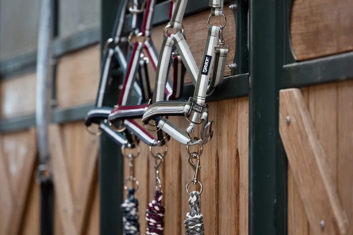 Headcollar Pin Buckle Shetland van Eskadron in Blackberry – productfoto