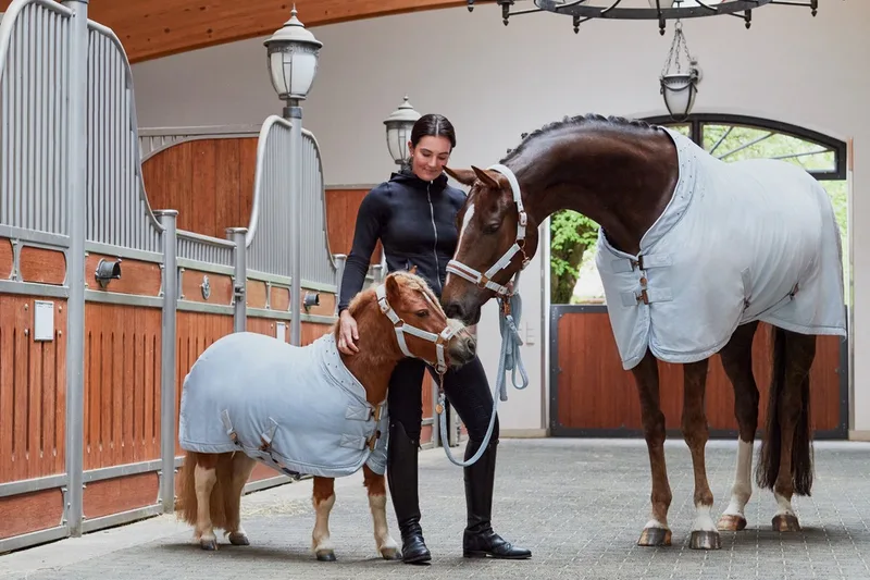 Sweat Paardendeken Velvet Crystal Shetty Platinum 23 Black 130 von Eskadron in Schwarz – Produktfoto
