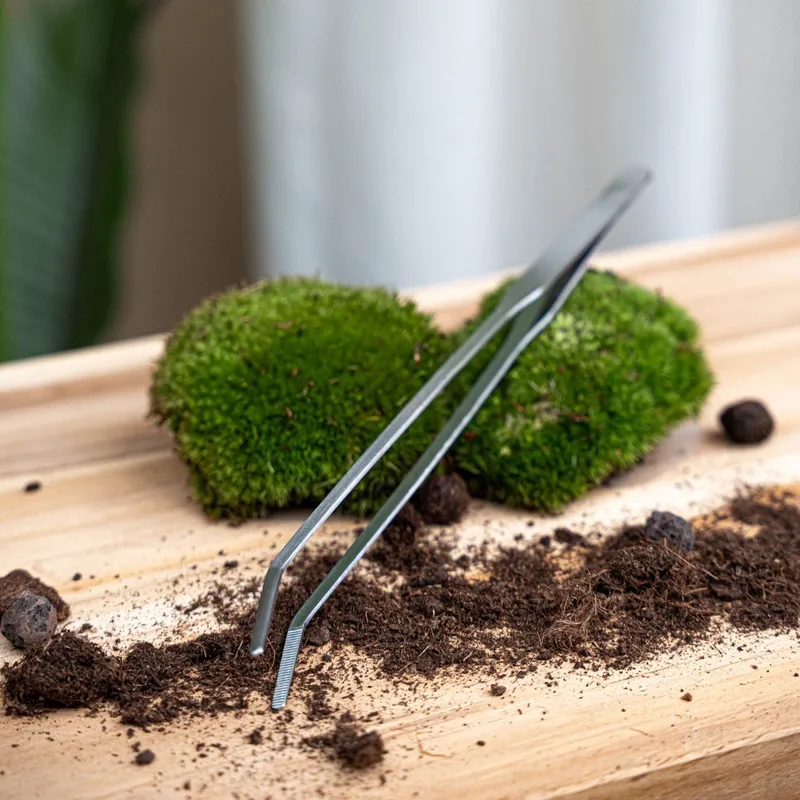 Extra long Terrarium tweezer - 26 cm - Stainless steel by Esschert Design in Silver – product photo