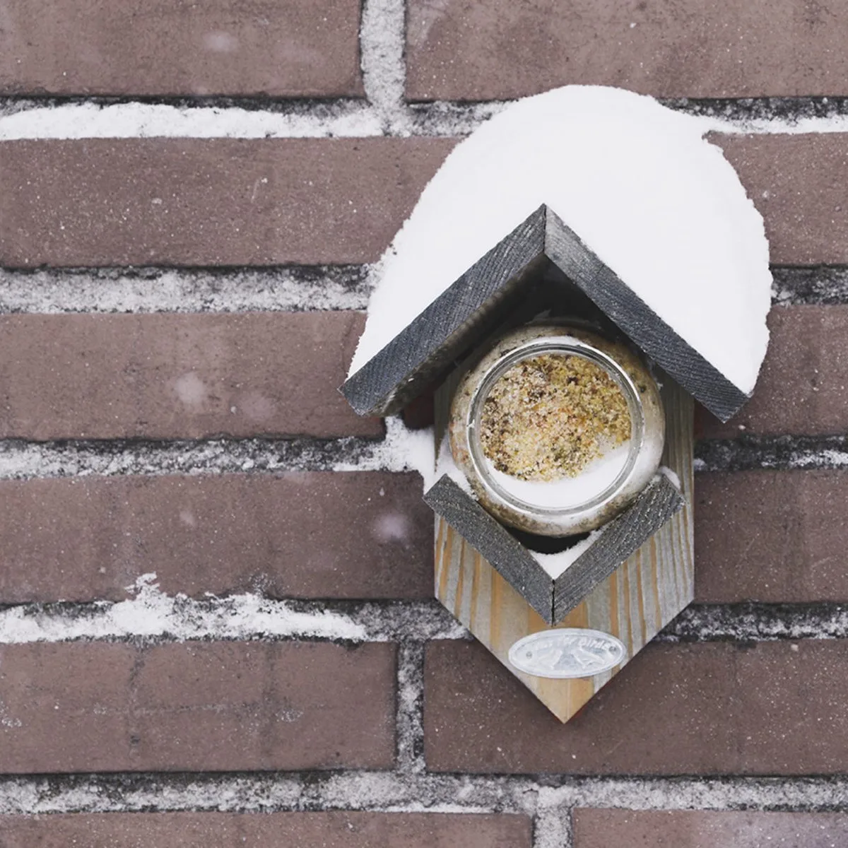 Pindakaas voor vogels - met stukjes noot - set van 8 - winter vogelvoer van Esschert Design – productfoto