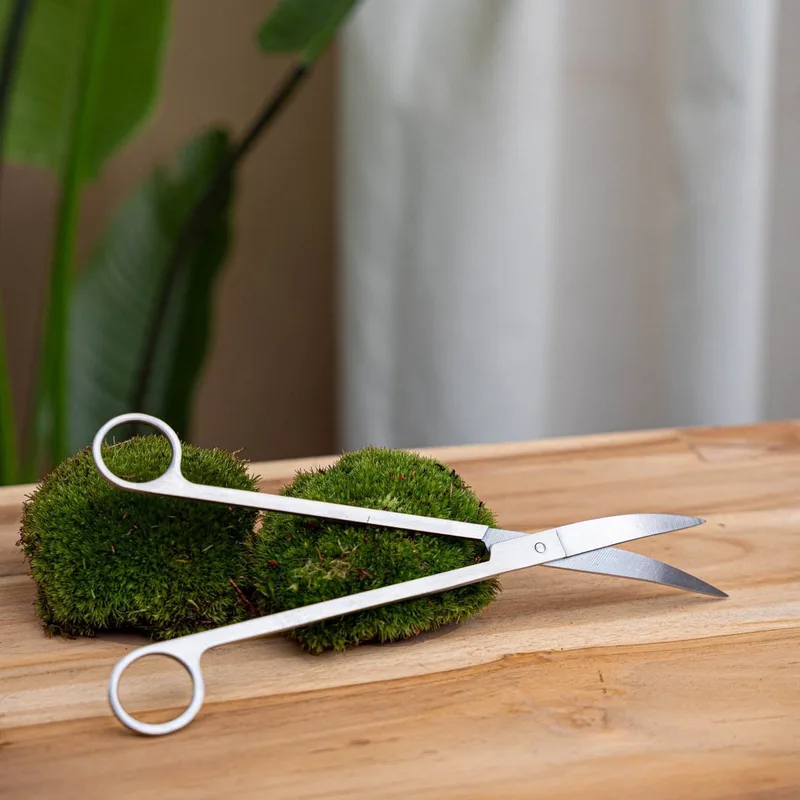 Terrarium scissors - DIY Terrarium Online | Florazo von Esschert Design in Silber – Produktfoto