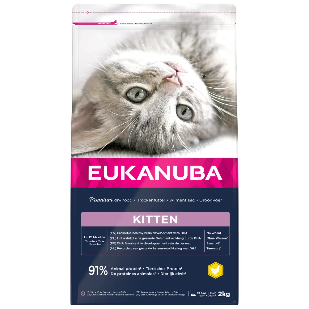 2kg Healthy Start Kitten Eukanuba Kattenvoer van Eukanuba – productfoto