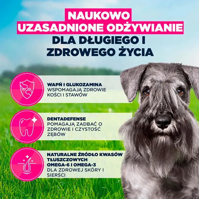 Hondenvoer Voor Oudere Kleine Honden Rijk Aan Kip 3kg 3 Kg de Eukanuba – photo produit 3 sur 6