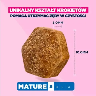 Hondenvoer Voor Oudere Kleine Honden Rijk Aan Kip 3kg 3 Kg de Eukanuba – photo produit 4 sur 6