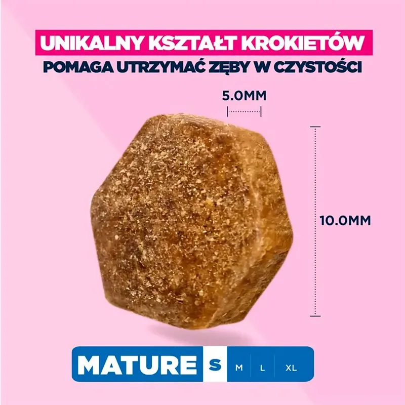 Hondenvoer Voor Oudere Kleine Honden Rijk Aan Kip 3kg 3 Kg de Eukanuba – photo produit 4 sur 6