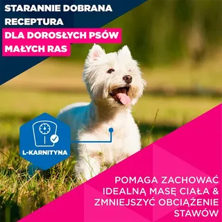 Hondenvoer Voor Oudere Kleine Honden Rijk Aan Kip 3kg 3 Kg de Eukanuba – photo produit 2 sur 6