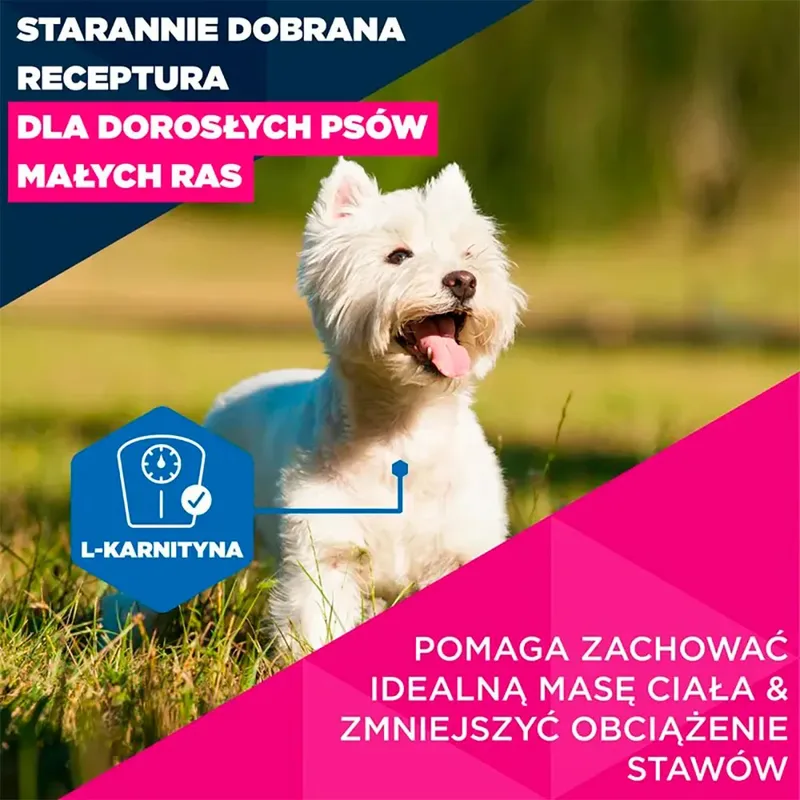 Hondenvoer Voor Oudere Kleine Honden Rijk Aan Kip 3kg 3 Kg de Eukanuba – photo produit 2 sur 6