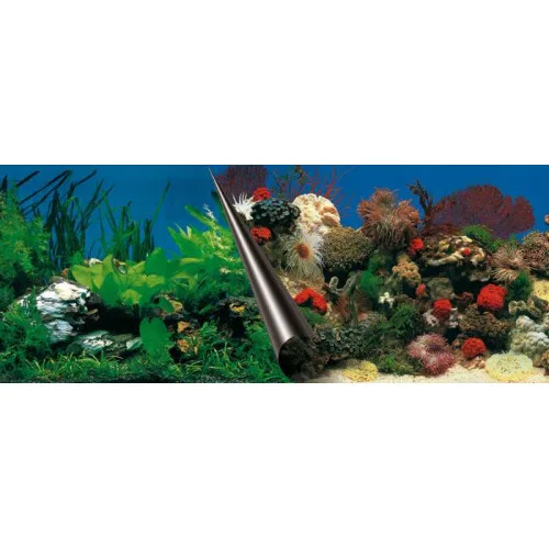 Foto Achterwand Stone & Coral 40x80cm