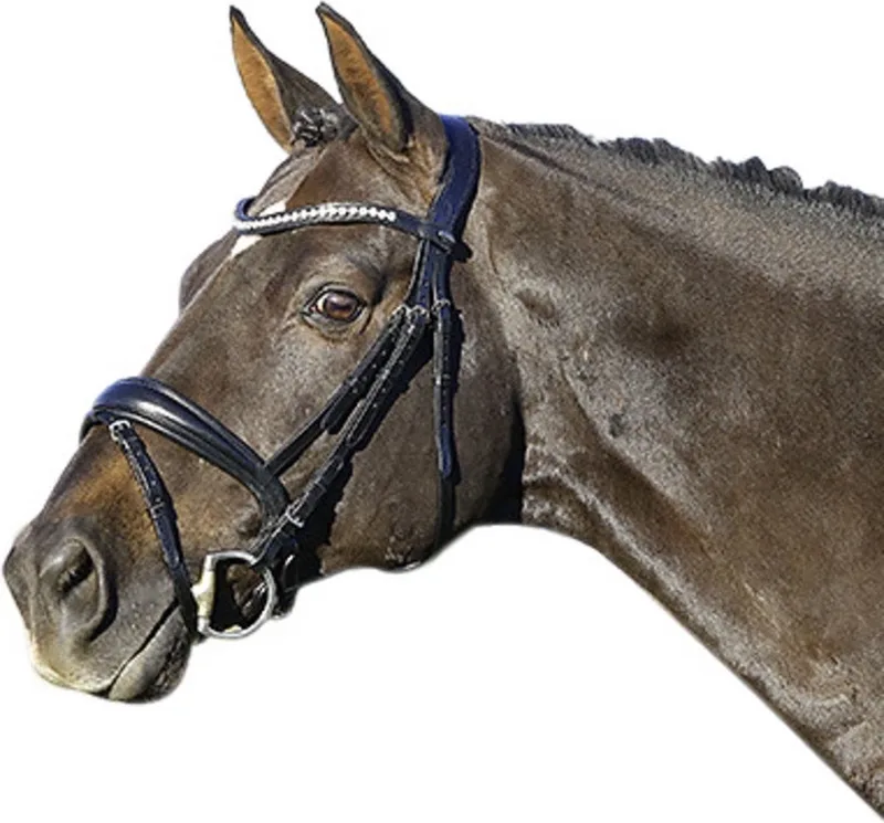 Hoofdstel La Rochelle met Zweedse Neusriem Cob von Euroriding in Dark Brown – Produktfoto