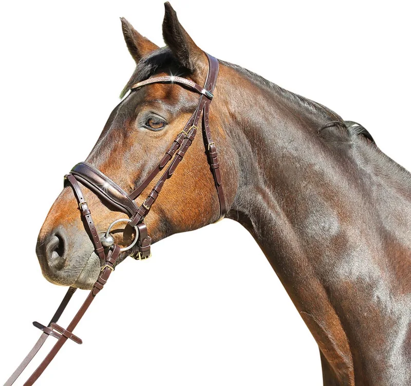 Hoofdstel Patent Versailles Pony by Euroriding in Brown – product photo