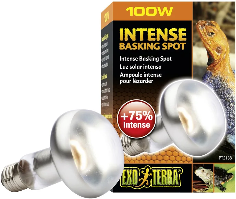 Basking - Spot Lamp - Terrarium Verlichting - 100W van Exo Terra in <> – productfoto 1 van 2
