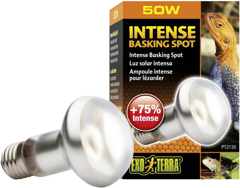 Basking Spot Lamp - Terrarium Verlichting - 50W de Exo Terra en <> – photo produit