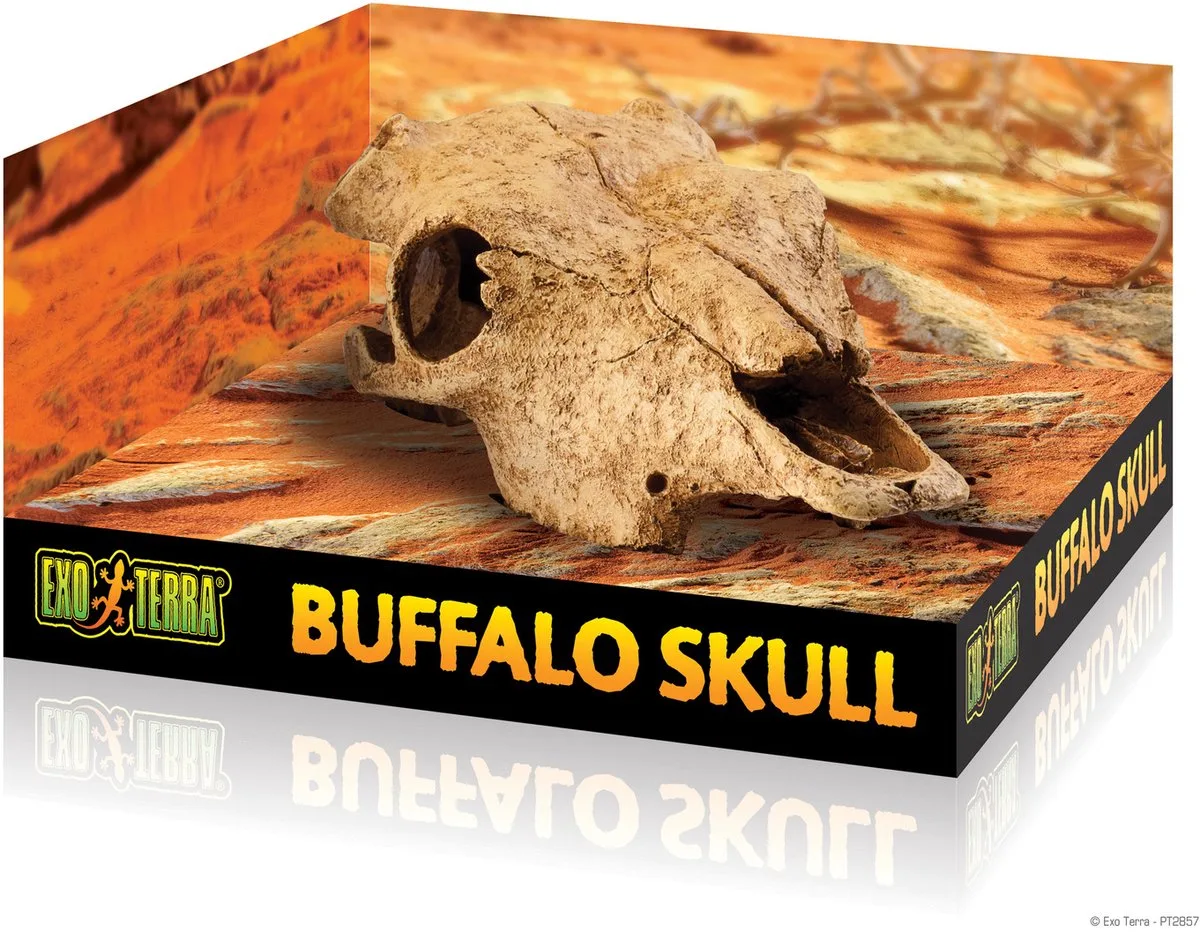 Buffalo Skull de Exo Terra en Beige – photo produit