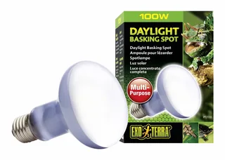 Daylight Basking Spot lamp - Terrarium Verlichting - 100W by Exo Terra in White – product photo 1 of 3