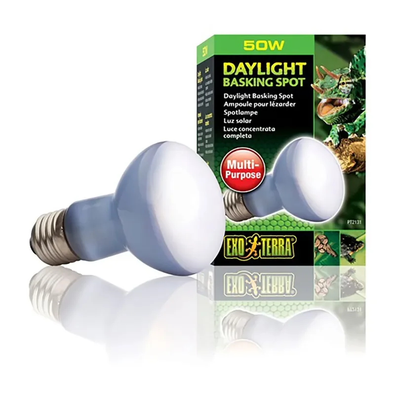 Daylight Basking Spot lamp - Terrarium Verlichting - 100W by Exo Terra in White – product photo 2 of 3