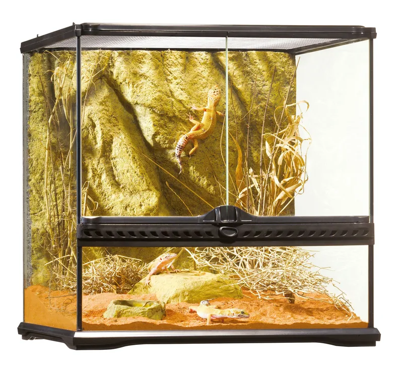 Glas terrarium incl achterwand 60x45x30cm by Exo Terra – product photo