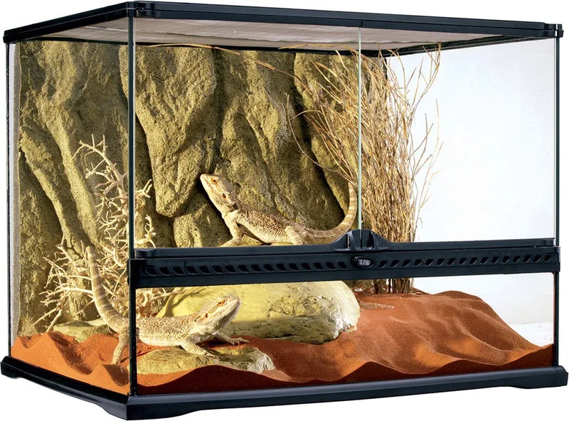 Glas terrarium incl achterwand 60x45x45cm von Exo Terra – Produktfoto
