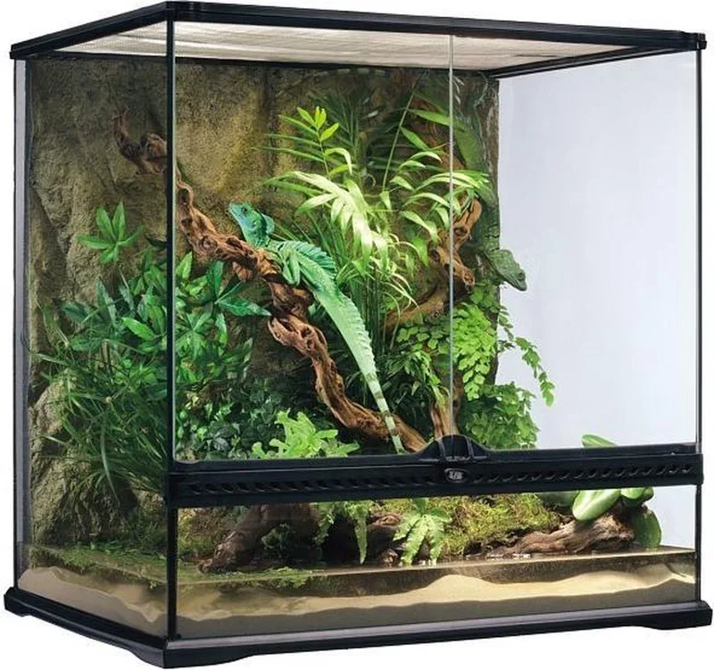 Glas terrarium incl achterwand 60x45x60cm de Exo Terra – photo produit