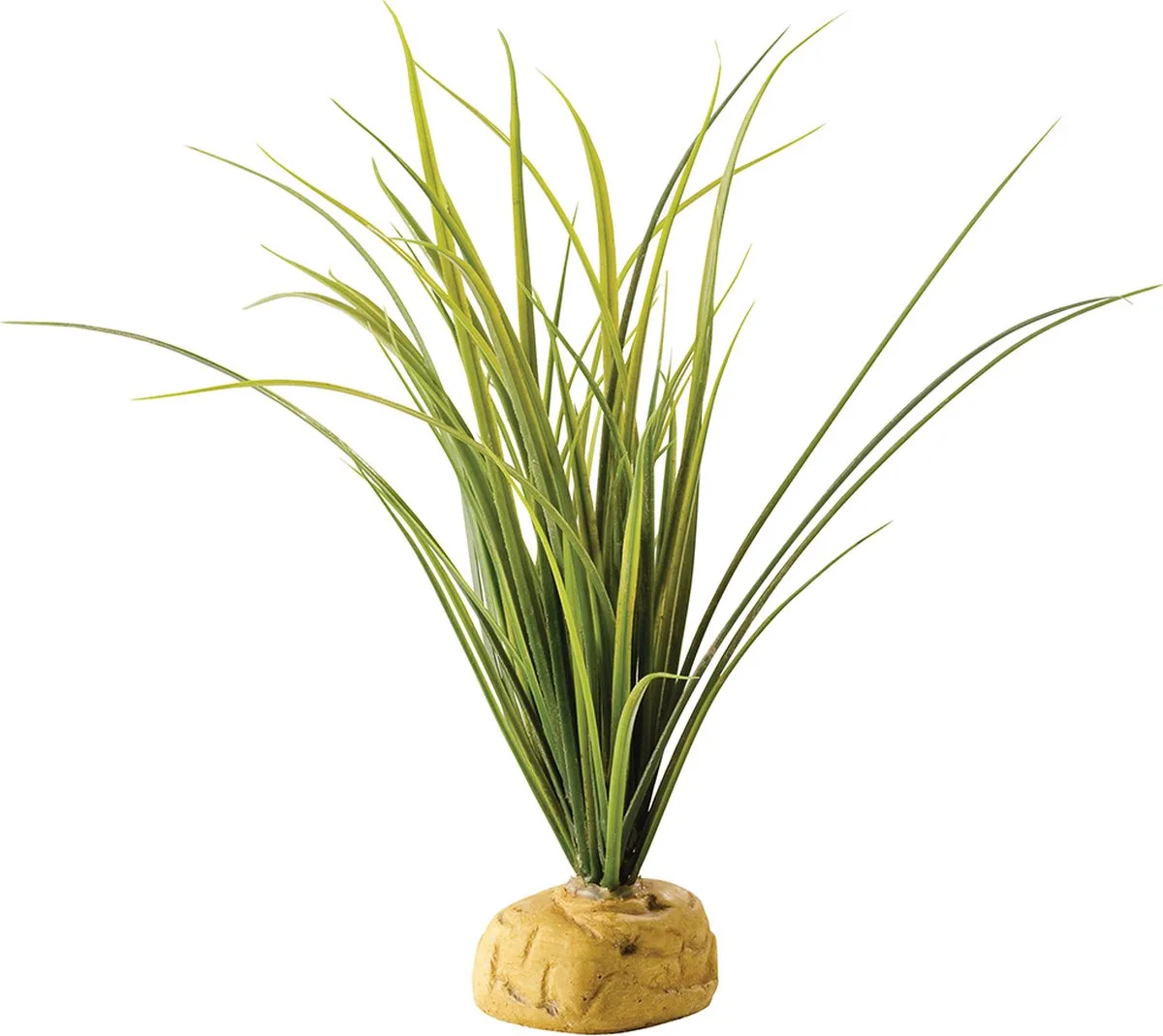 Ground Plant Turtle Grass 1 st de Exo Terra en <> – photo produit