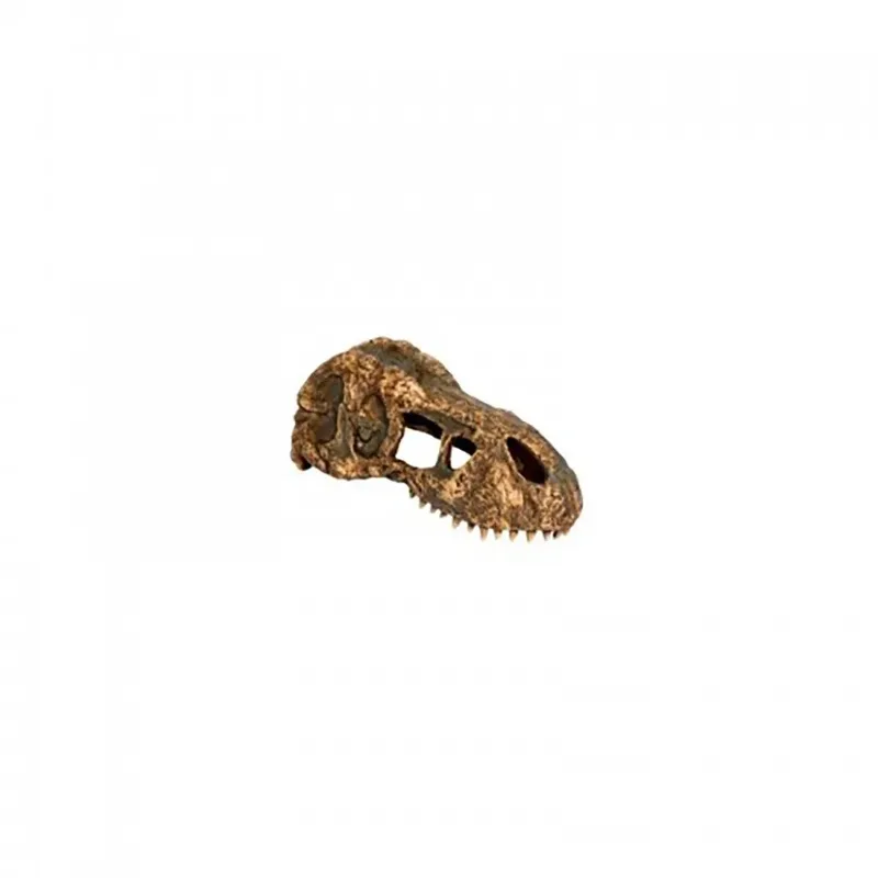 Kleiner T-rex-schädel Sicheres Versteck by Exo Terra – product photo