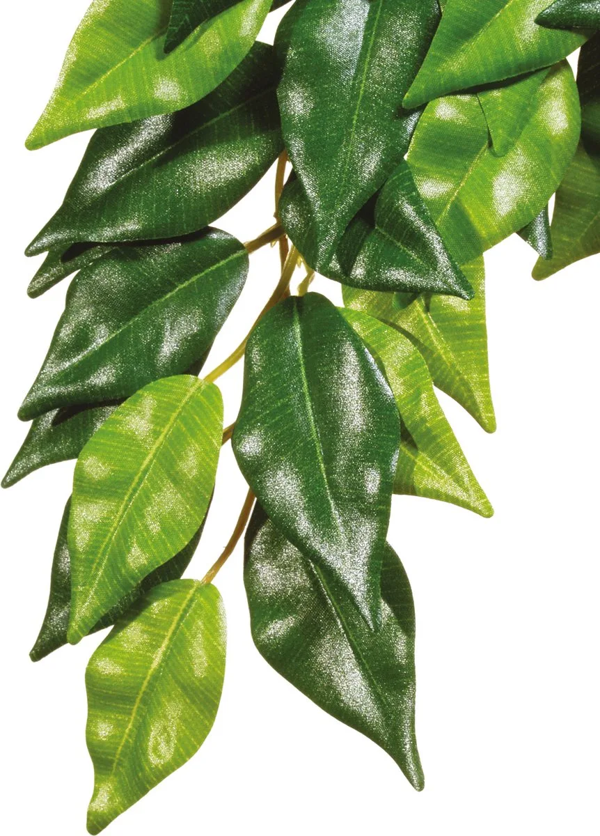Kunstplanten - Reptielen - Ficus L - 22,5x4x80cm - 1st de Exo Terra en Vert – photo produit