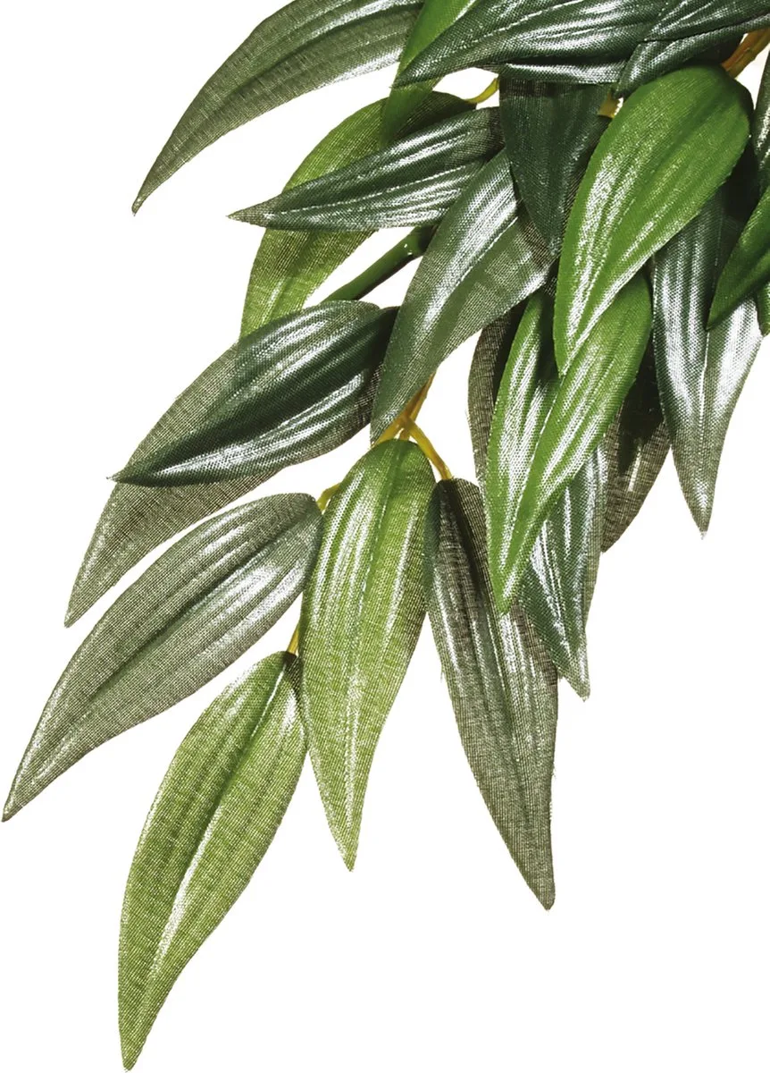 Kunstplanten - Reptielen - Ruscus M - 17,5x3x55,5cm - 1st de Exo Terra en Vert – photo produit