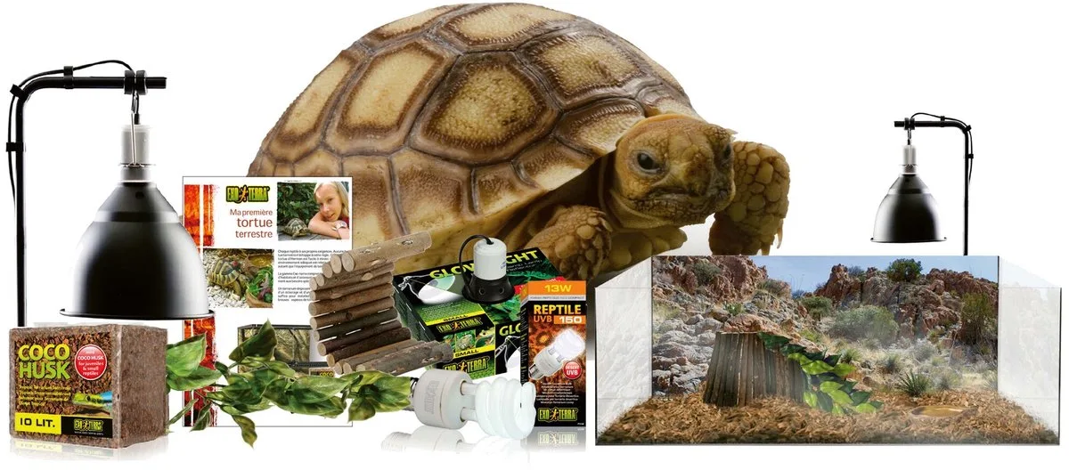 Landschildpad terrarium starterkit 60 x 35 x 23 cm | Glazen verblijf inclusief verlichting, bodembedekking, schuilhuis en decoratie de Exo Terra en Marron – photo produit