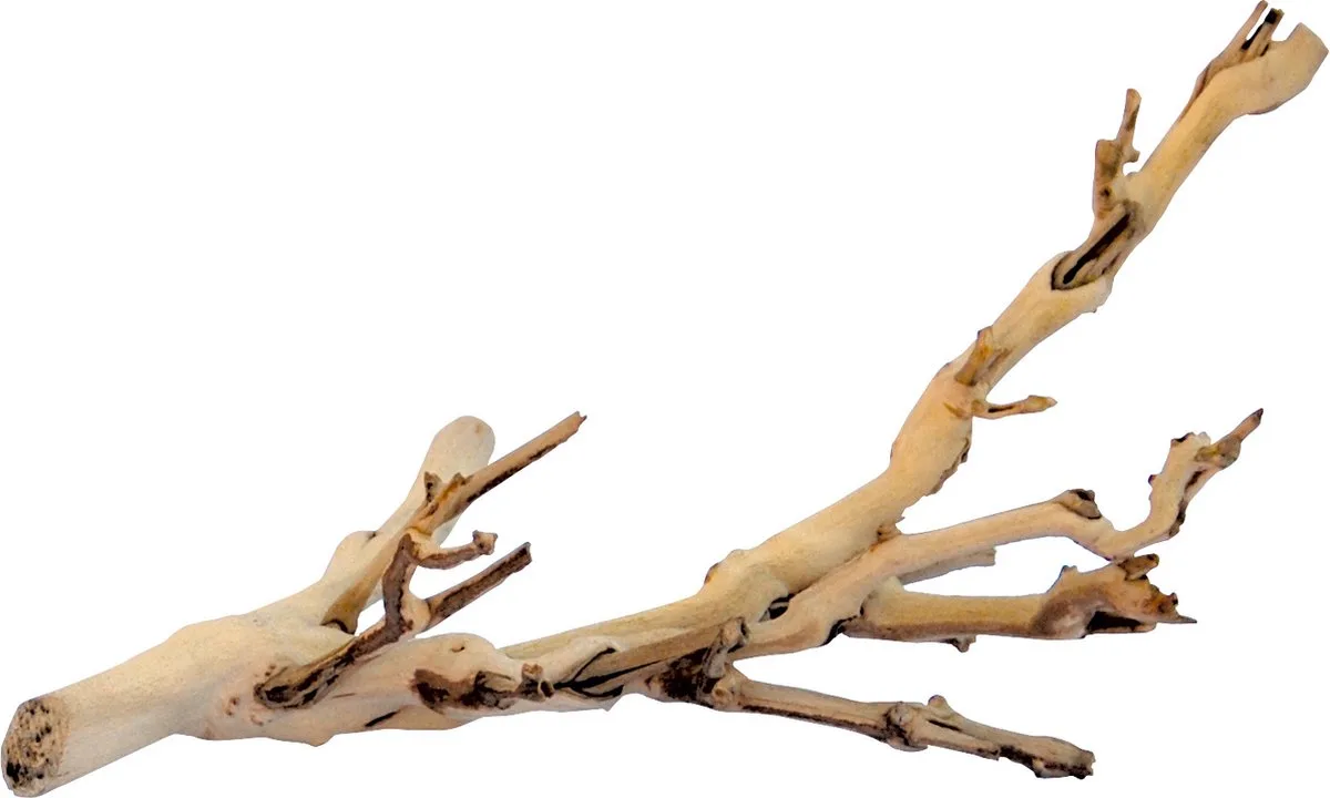 Branche De Forêt de Exo Terra en Marron – photo produit