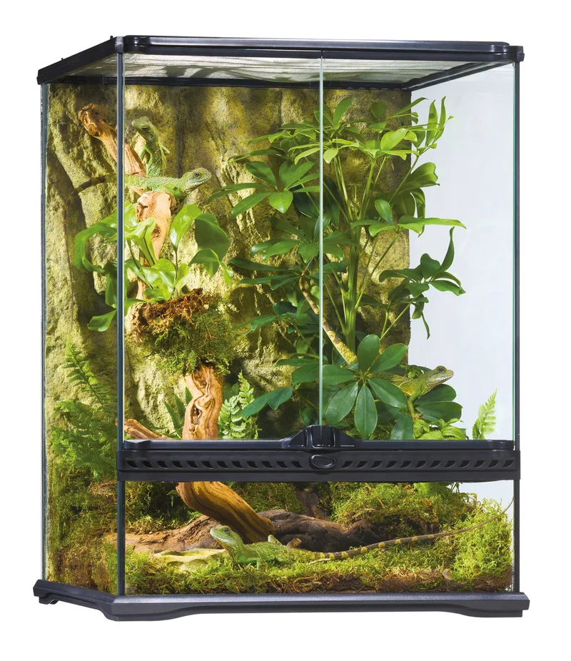 Paludarium 45x45x60cm de Exo Terra – photo produit