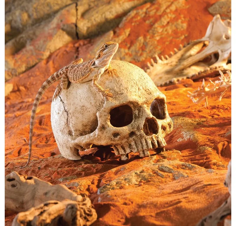 Primate Skull Schuilplaats - Terrarium Decoratie - 11 x 21 x 14 cm von Exo Terra in Color – Produktfoto 2 von 4