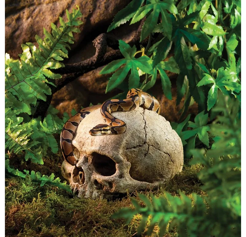 Primate Skull Schuilplaats - Terrarium Decoratie - 11 x 21 x 14 cm von Exo Terra in Color – Produktfoto 3 von 4