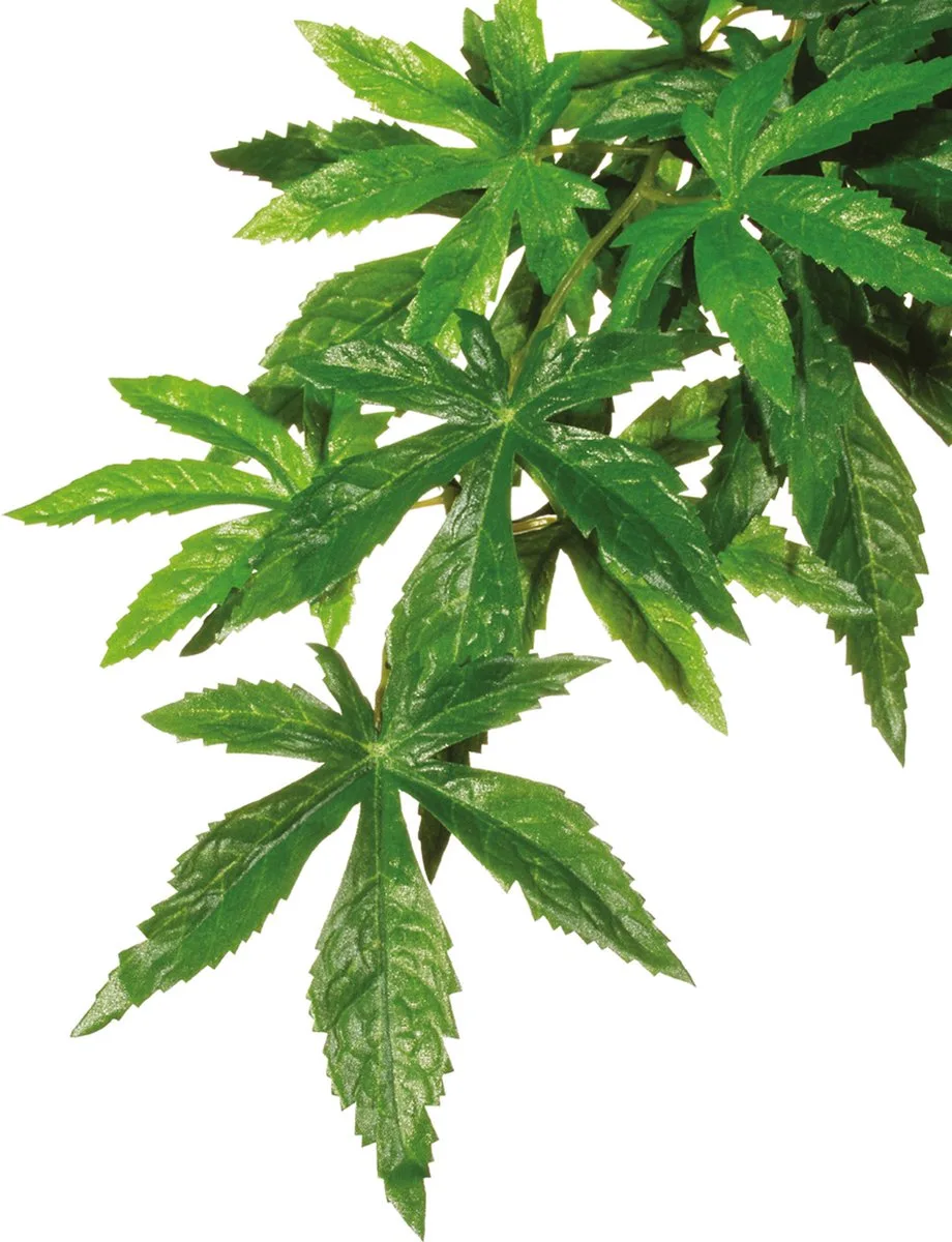 Rainforest Plant Abutilon Small Silk de Exo Terra en Vert – photo produit