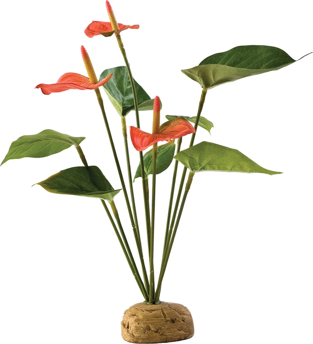 EXO TERRE - ARBUSTE ANTHURIUM 30x15 cm de Exo Terra en Vert – photo produit