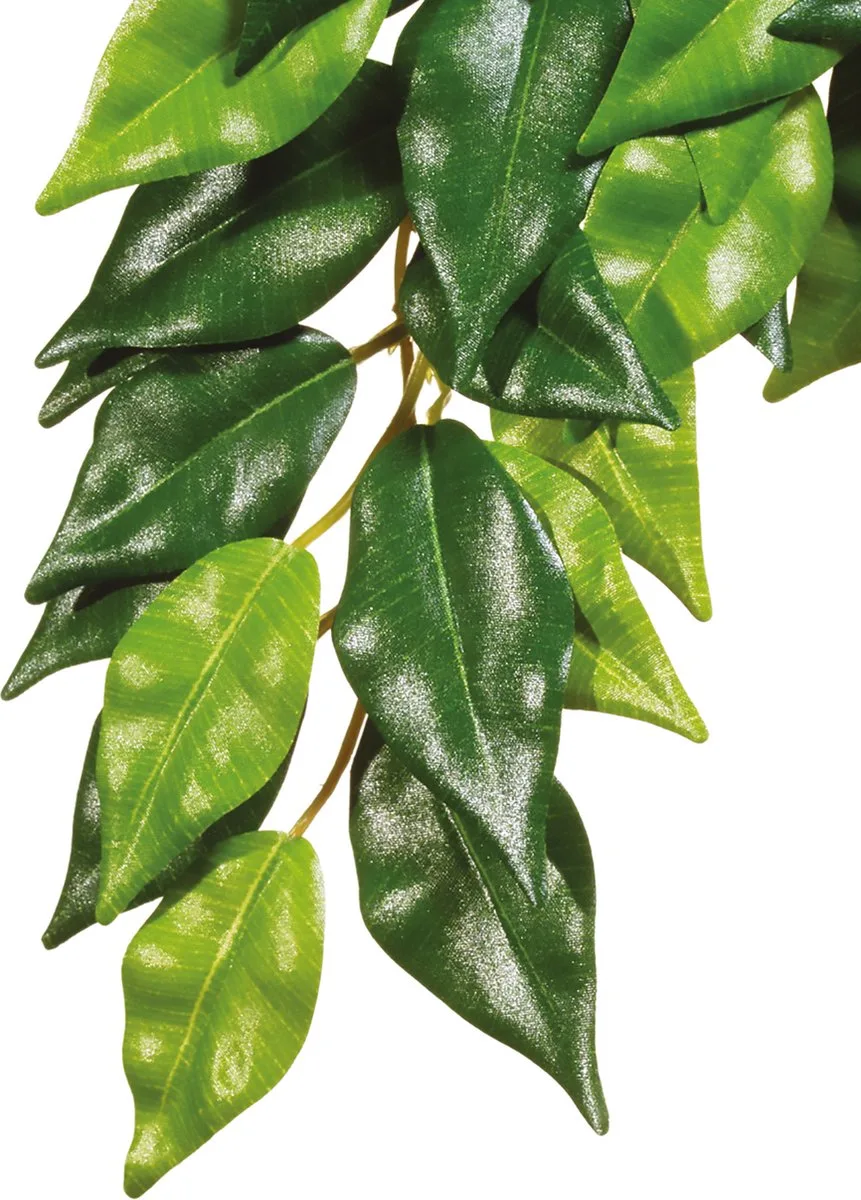 EXO S de Exo Terra en Vert – photo produit