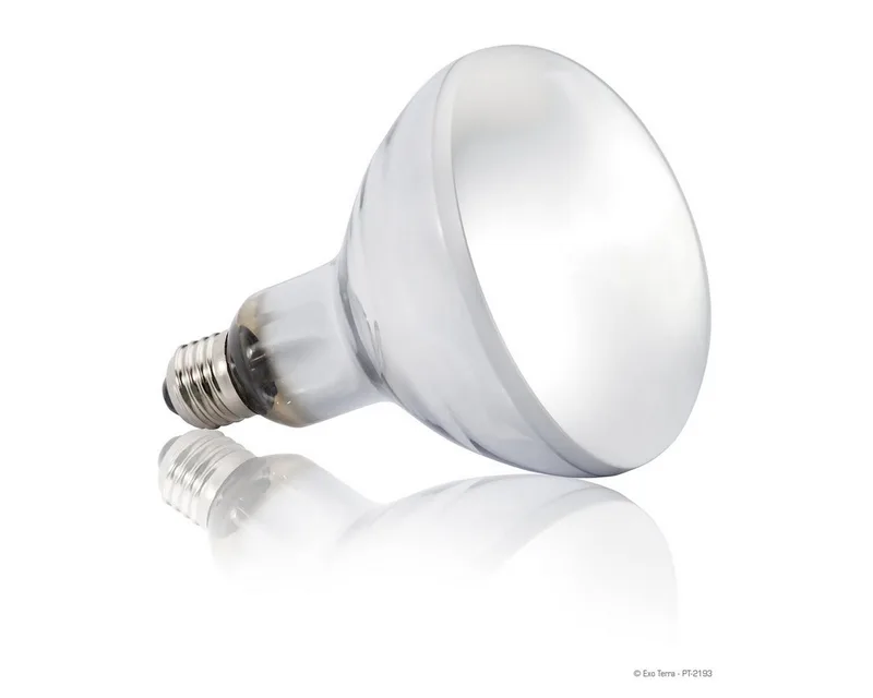 Terrarium verlichting Solar Glo 80 watt - 80w van Exo Terra in <> – productfoto 3 van 4
