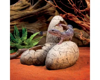 Versteck Für Dinosauriereierfossilien by Exo Terra – product photo 3 of 5