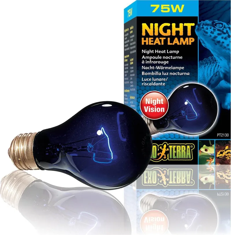 Warmtelamp - Reptielen - Ex Maanlichtlamp Ng A19 75w - 6x6x10,5cm - 1st by Exo Terra in <> – product photo