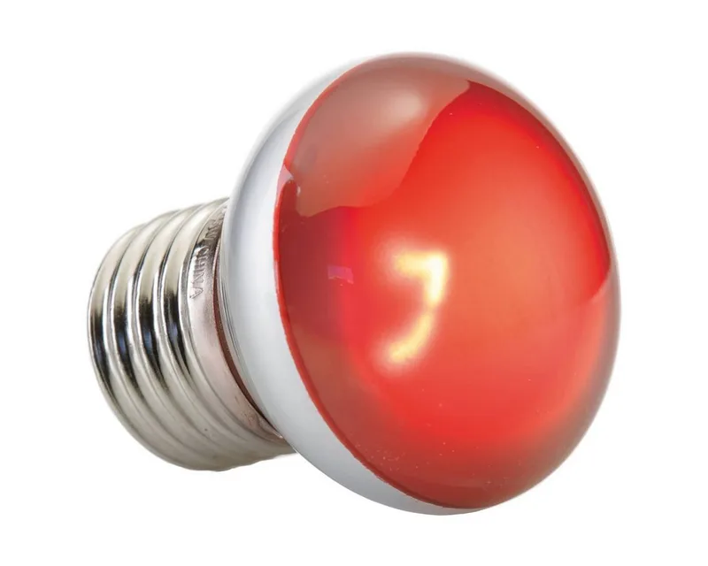 Warmtemat - Reptielen - Ex Infrarood Warmtespot Nano 25w - 6x6x8,5cm - 1st de Exo Terra en Rouge – photo produit 2 sur 2