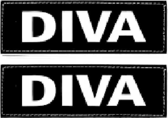 Harnas Side Patch - Diva - 3x11 cm
