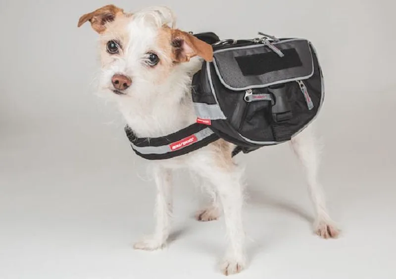 Hondenrugtassen EZYDOG Convert Saddle Bags, HCSBS, Zwart, Maat S, LET OP: Zonder Convert harnas / tuigje de Ezydog en Zwart met reflecterende biezen – photo produit