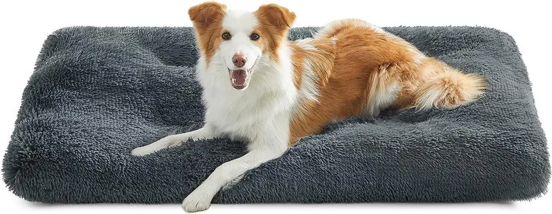 Hondenbed, huisdiermat, zacht, 110 x 73 cm, zachte vulling, machinewasbaar, kussen voor honden, multifunctioneel, PGW203G02 von Feandrea in Dunkelgrau – Produktfoto