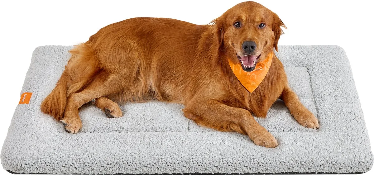 Hondendeken - Huisdierdeken voor Honden en Katten - Wasbaar - Antislip de Feandrea en Gris clair – photo produit