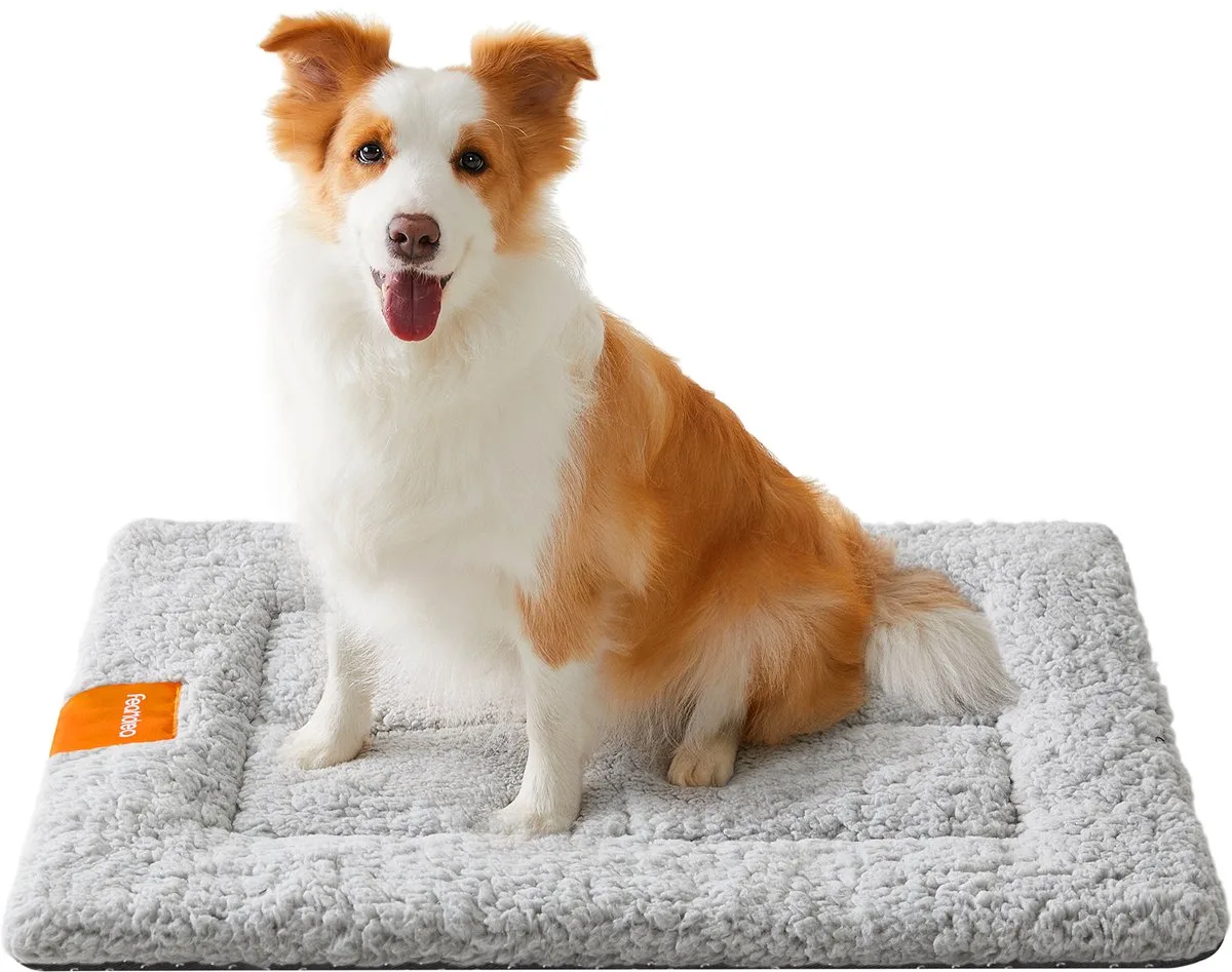 Hondendeken - Huisdierendeken voor Honden en Katten - Wasbaar - Antislip by Feandrea in Grey – product photo