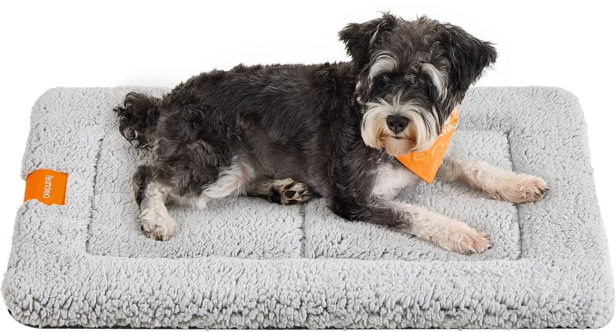 Hondendeken - Voor Honden en Katten - Machinewasbaar - Antislip van Feandrea in Lichtgrijs – productfoto