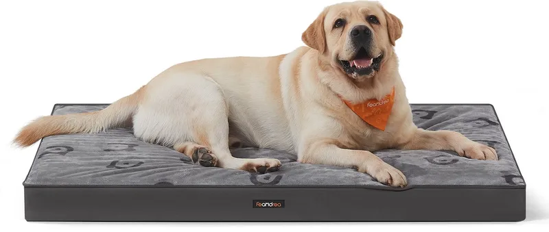 Hondenmand - Afneembare en Wasbare Hondenmat - Waterdicht - Voor Grote Honden de Feandrea en Duifgrijs – photo produit