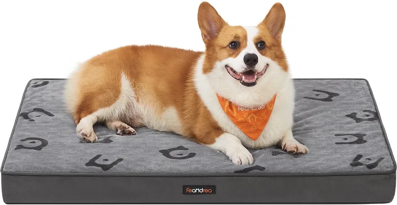 Hondenmand - Hondenbed met Afneembare en Wasbare Hoes - Waterdicht - Voor Middelgrote Honden de Feandrea en Duifgrijs – photo produit