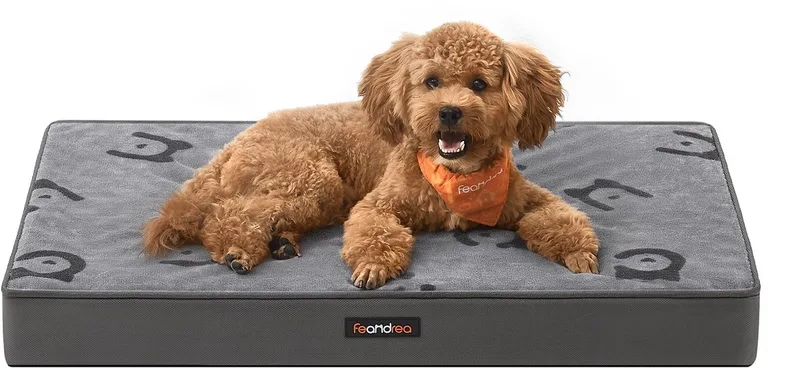 Hondenmand - Hondenbed met Wasbaar Kussen - Afneembare en Waterdichte Hondenmat - Voor Kleine Honden de Feandrea en Duifgrijs – photo produit